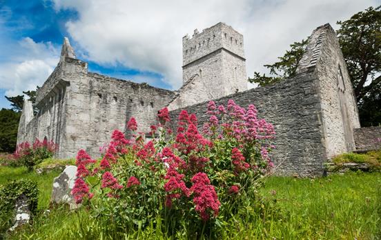 Muckross Abbey