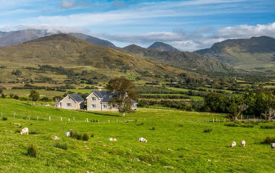 Sheep grazing near Glencar