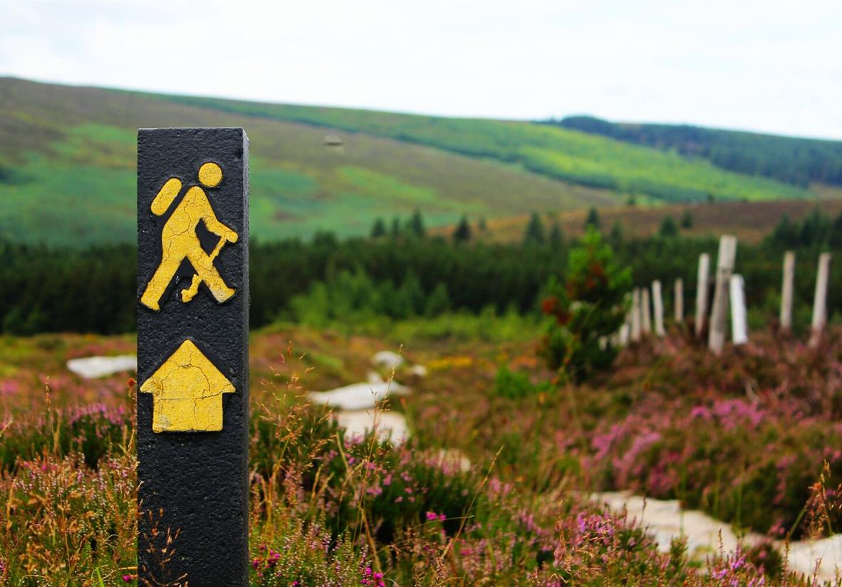 Wicklow Way is well trail marked