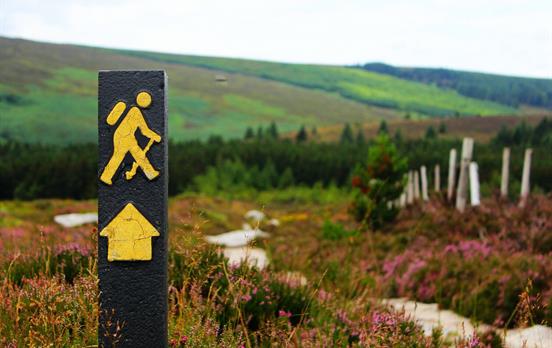 Wicklow Way is well trail marked