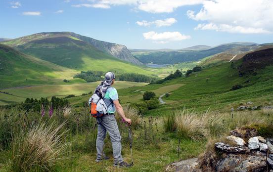 Glendalough Valley