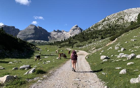 Walker enroute to RefugiScotoni