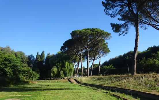 Walk the final section of the Via Francigena