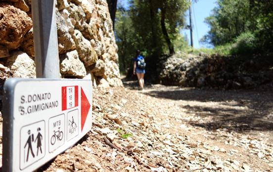 Waymarking along the Via Francigena