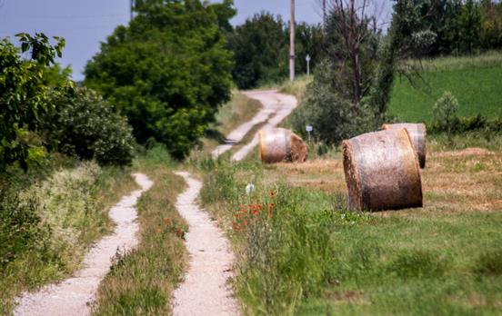 Follow the Via Francigena through Tuscany
