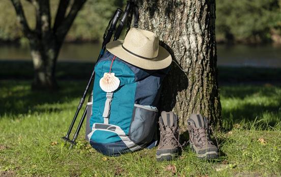Jakobsweg Muscheln begleiten jeden Pilger