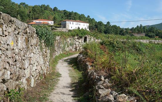 Trail heading towards Barcelos