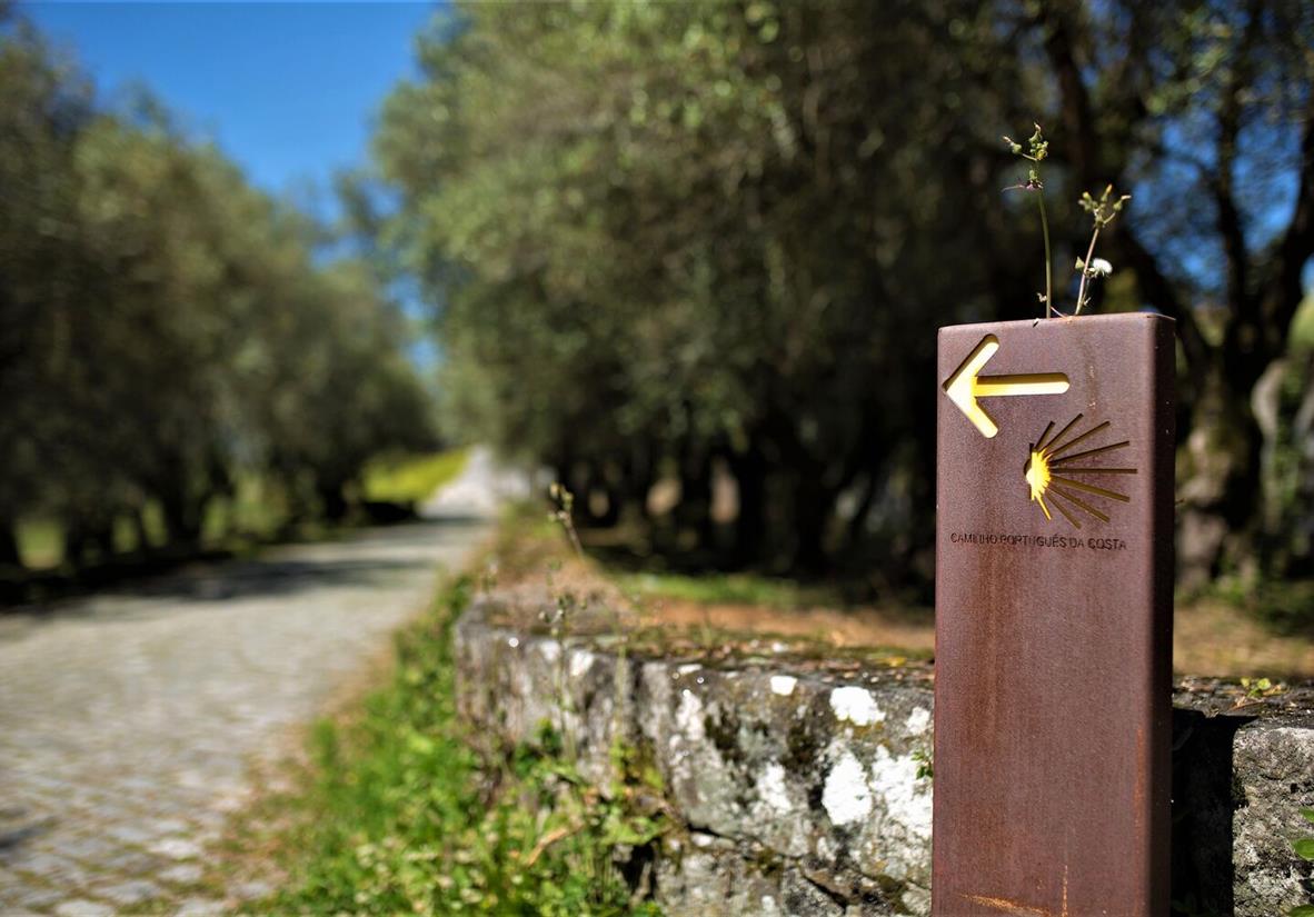 Camino Portugues Coastal Way signage