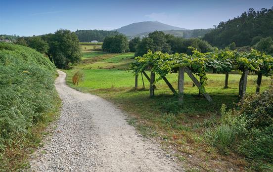 Walk the full Camino Portugues