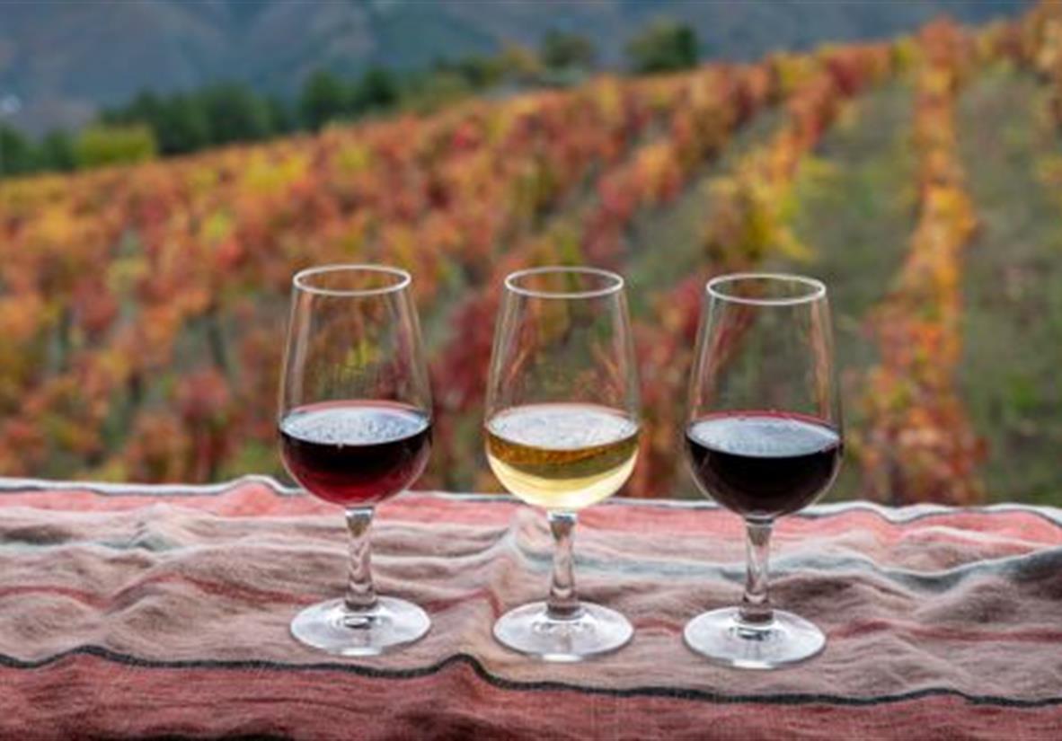Wine flight