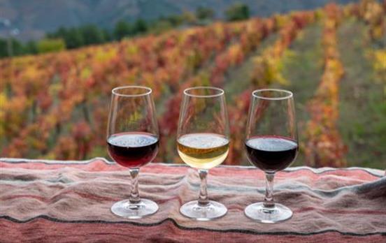 Wine flight