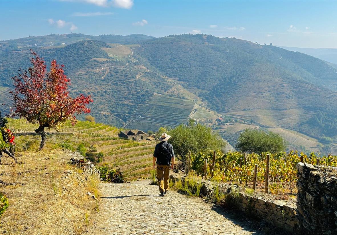 Hiking in the Douro Valley