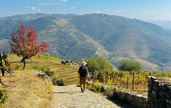 Hiking in the Douro Valley
