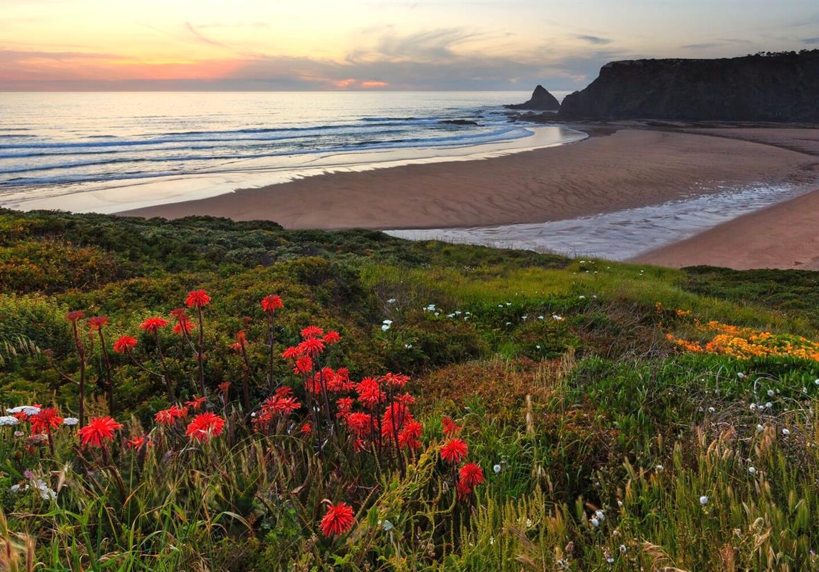 Sunset and wildflowers.