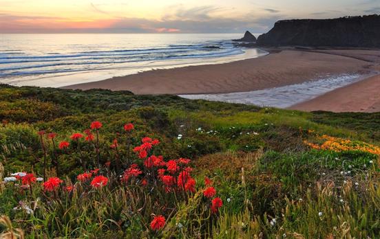 Sunset and wildflowers.
