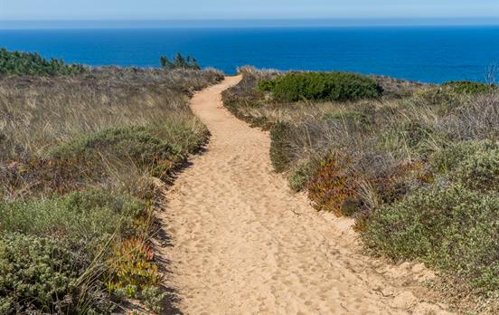Walk on quiet trails along the coast