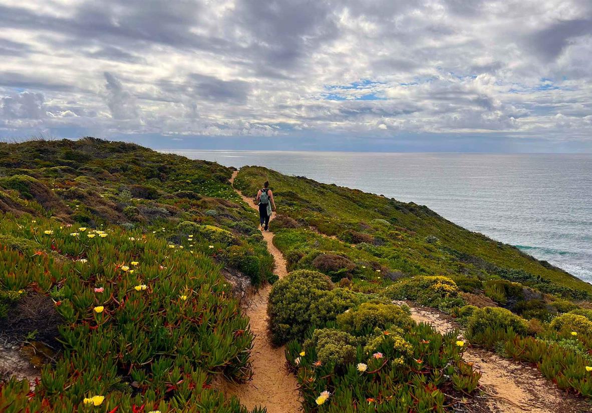 Wildflowers on the trail.