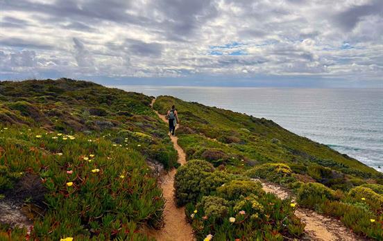 Wildflowers on the trail.