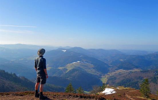 Black Forest panoramas