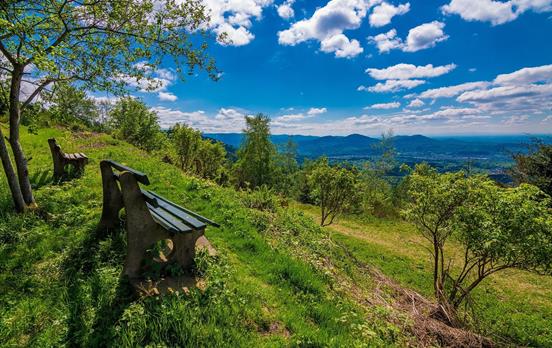 Perfect picnic bench