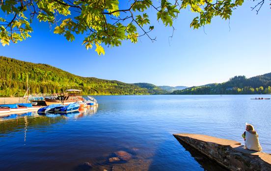 Beautiful lakeside image
