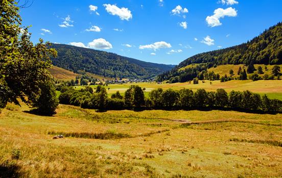 Walking into Menzenschwand