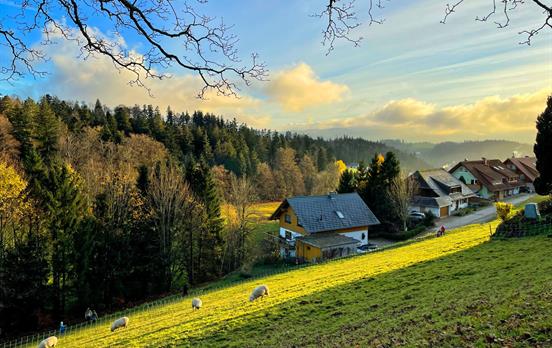 Black Forest scenery