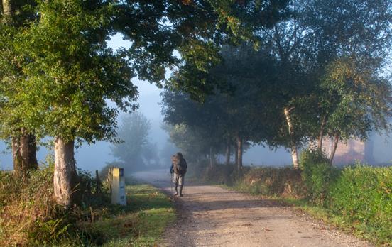 Pilger auf dem Jakobsweg