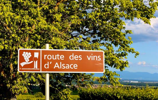 Follow the wine trail