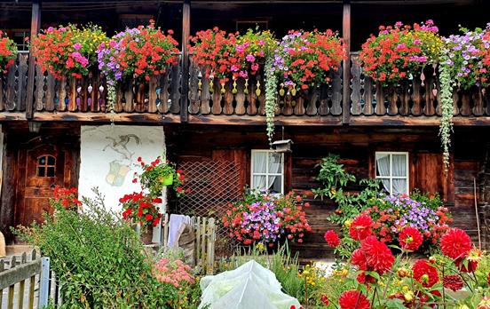 Classic Swiss House