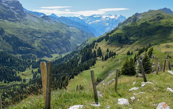 Trail above Engelberg