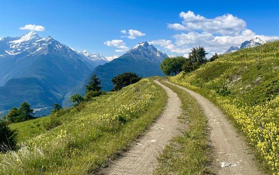 Walking in the Aosta Valley Day6