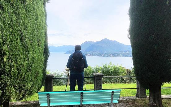 Along the Chestnut Trail