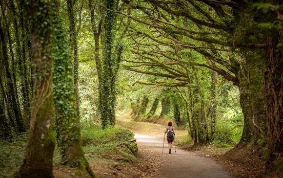Galicisches Hinterland auf dem Weg nach Santiago