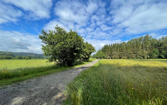 Genießen Sie die Landschaft Galiciens