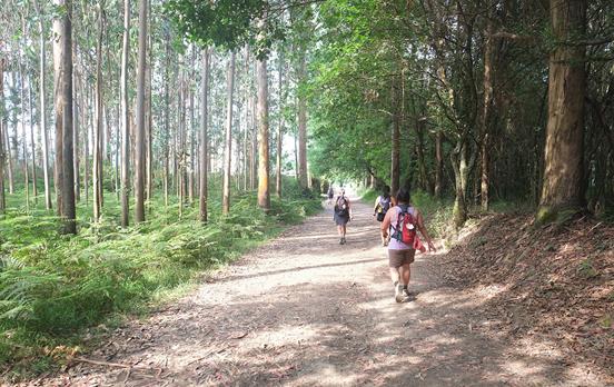 Terrain varies from stage to stage