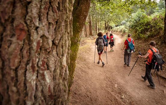Scenic trails through Galician forests