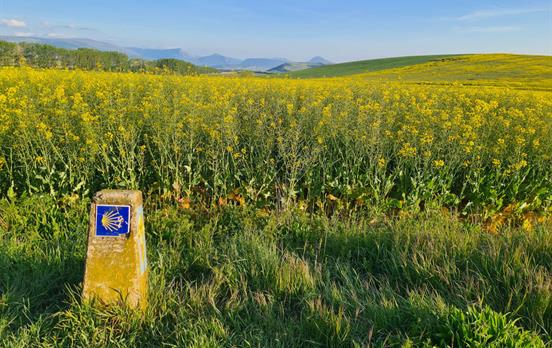 Wegweiser auf dem Camino
