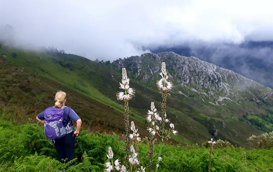 Walk at your own pace and take in the views