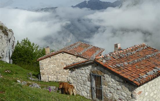 Walk through the clouds in the Picos