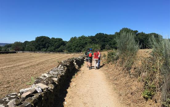 The Camino is the perfect pilgrim trail for groups