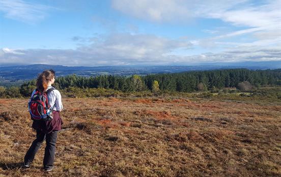 Warm auburn tones of the Galican landsacape