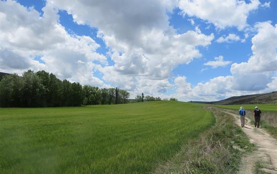 Pilgrims pushing on to their next stage