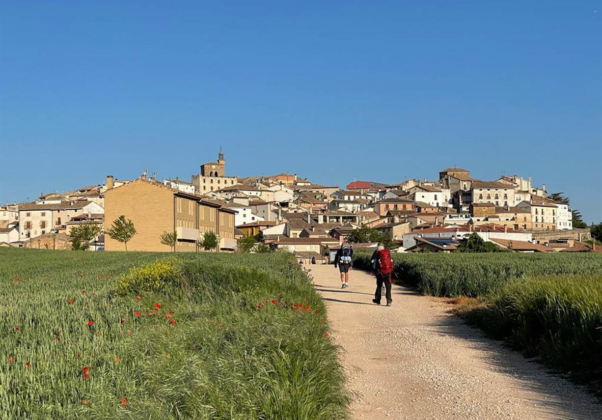 Pilgrim on the way to Cirauqui