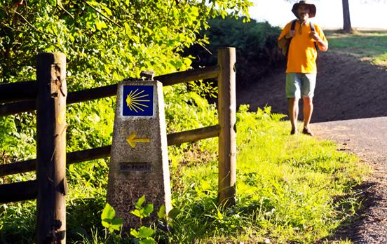 Pilgrim on the Camino