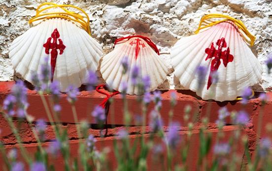 Adorn a Camino Shell on your pack or neck