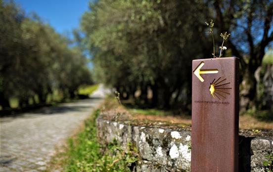Beschilderung des Camino Portugues Küstenweges