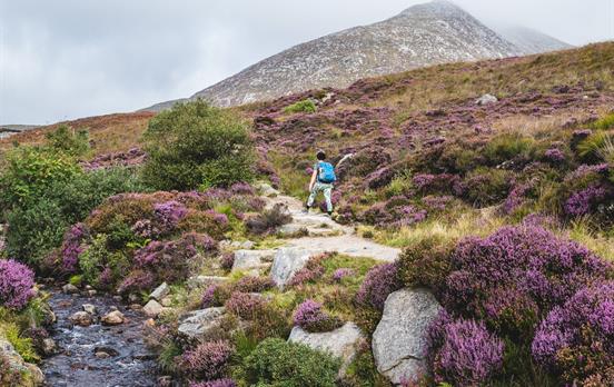 Goat Fell Ascent