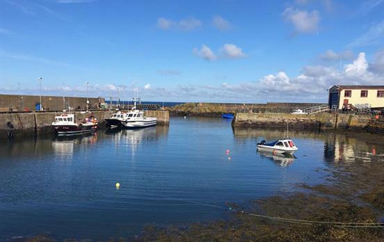 Pretty Berwickshire Harbour