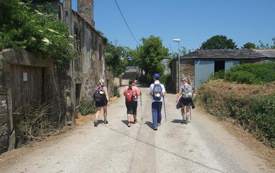 Easy walking on the final stage of the Camino